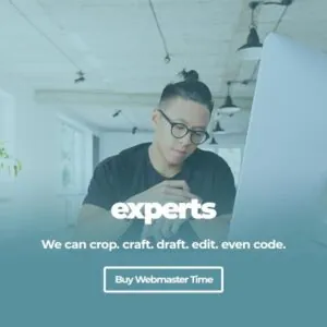 virtual-webmaster-developer-wpSites